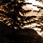 Neighborhood twilight