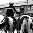 Back to the barn