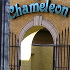 Chameleon