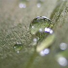 Drops