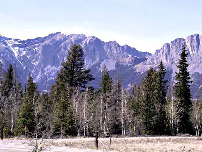 The mighty Rockies