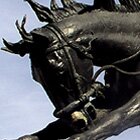 Rider and his horse