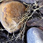 Rock line