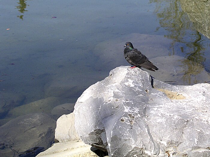 Alone