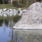 Rocky reflection