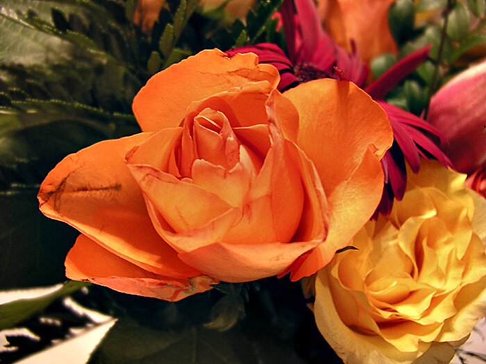 Hot bloom
