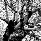Hanging