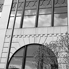 Lines and curves
