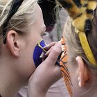 Face painting