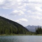 Forget me not pond