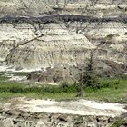 Horseshoe Canyon at summer