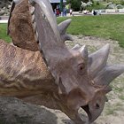 Once, there were dinosaurs here
