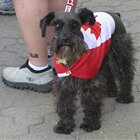 Happy 137th birthday, Canada