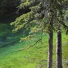Green & Blue 2
