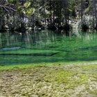 Green & Blue 1