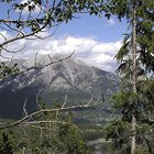 Bow valley view