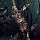 Ancient sea creatures 3