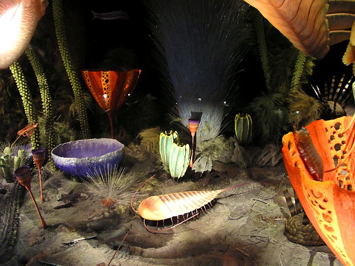 Ancient sea creatures 2
