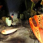 Ancient sea creatures 2