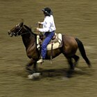 Cowboy in action