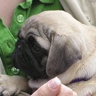 Close to mummy