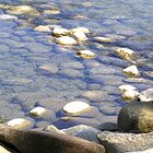 Into the river
