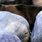 Among the rocks