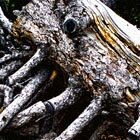 Entanglement