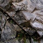 Zebra rock
