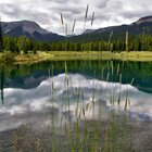 Pearl of nature