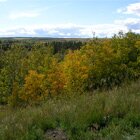 Park of colors
