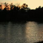 Fishing under twilight