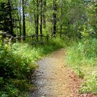 May your path...