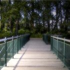 The passage - Taken by Lorien