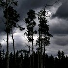 Shadowed - Taken by Lorien