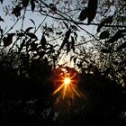 Sunrise 8:05 am