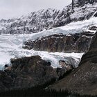Crowfoot glacier