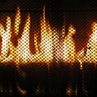 Warmth
