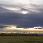 Golden lines over the field