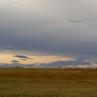 Open spaces