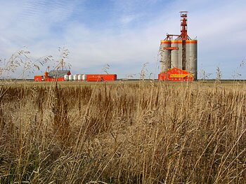 Colorful industry >>> Click to see large version
