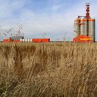 Colorful industry