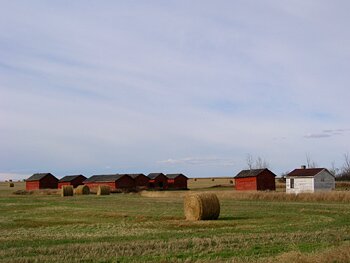 Farm scene >>> Click to see large version
