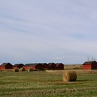 Farm scene