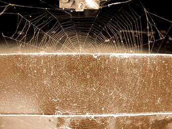 Be careful of the web >>> Click to see large version