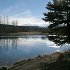Allen Bill Pond
