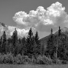 Cloud chronicles 1