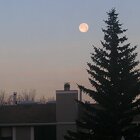 November moon