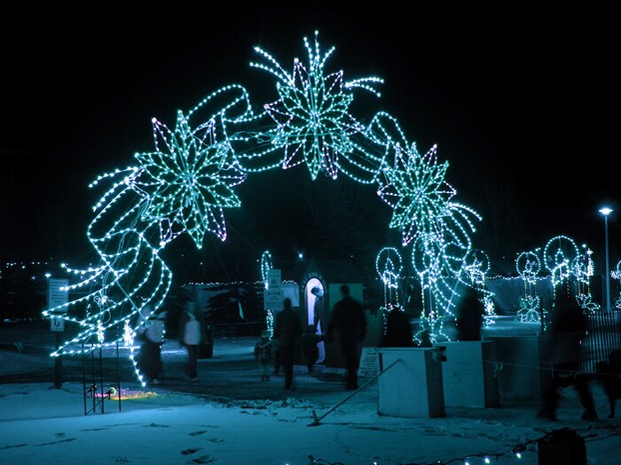 Enchanted in blue >>> Click photo to close window