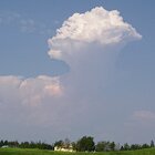 Mid summer sky